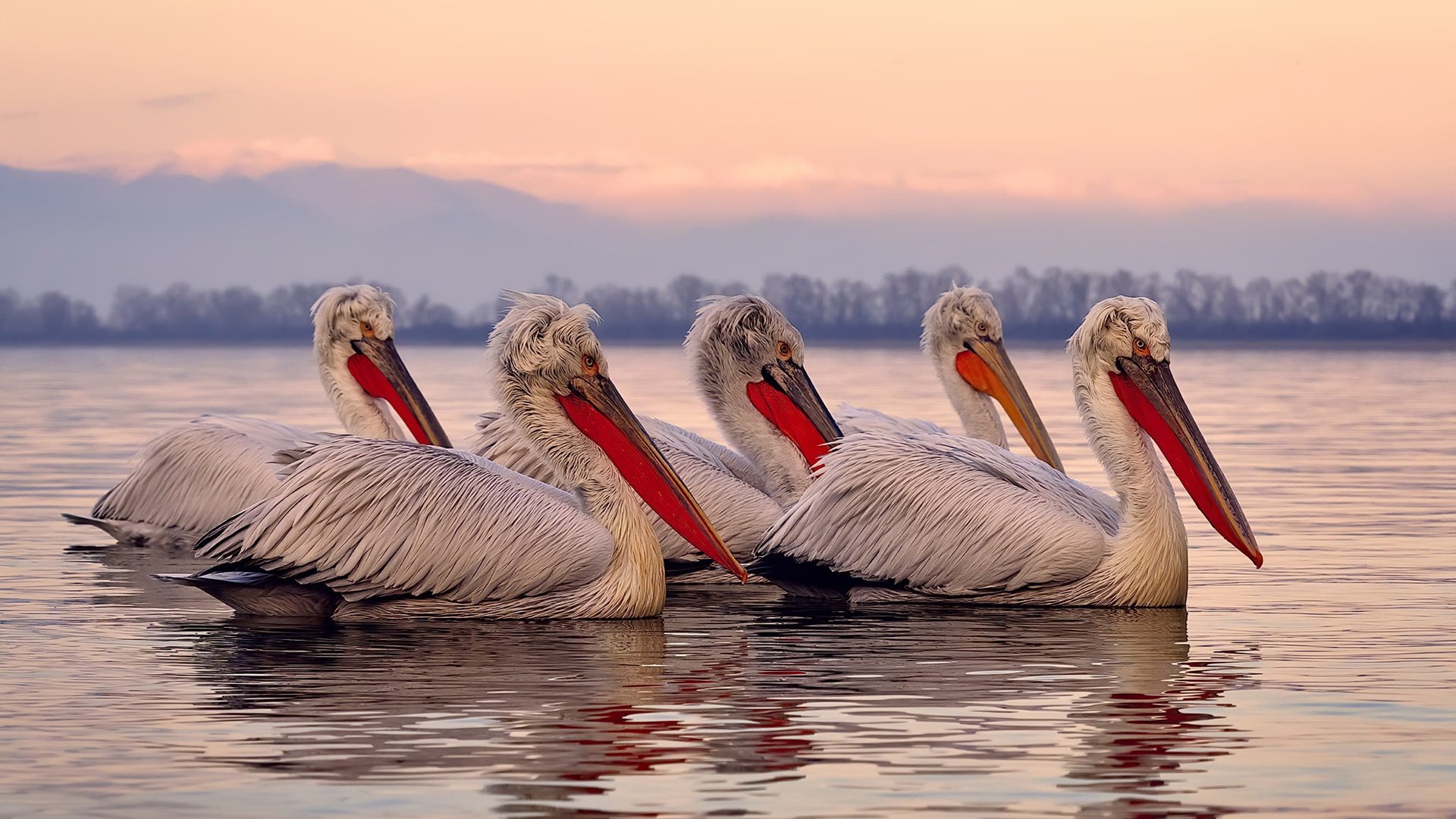 平行宇宙的篮球，当克里斯·保罗的古典乐响彻山西队主场