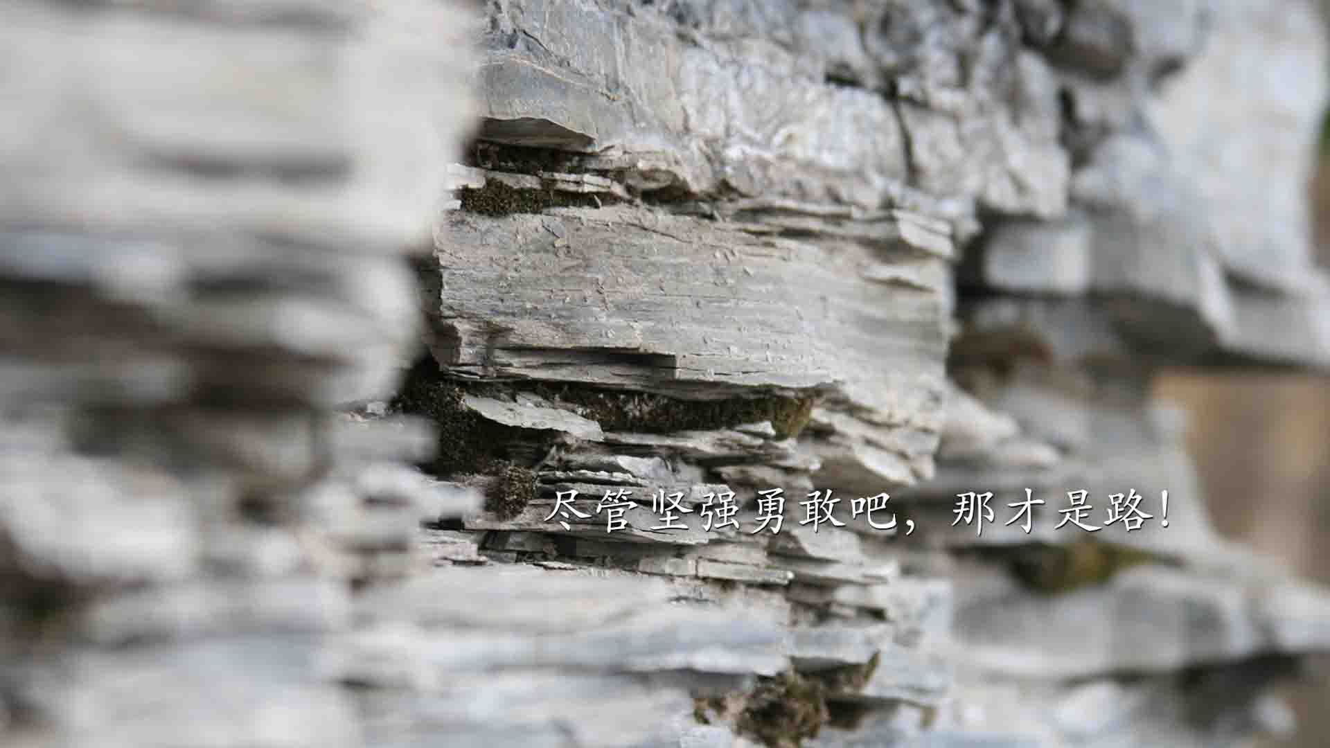 鹰击长空，英格拉姆精准狙击，老鹰横扫魔术展翅高飞