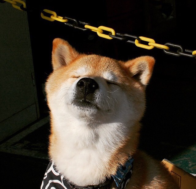 孤胆英雄的救赎，布雷默一锤定音，桑巴军团险胜紫百合