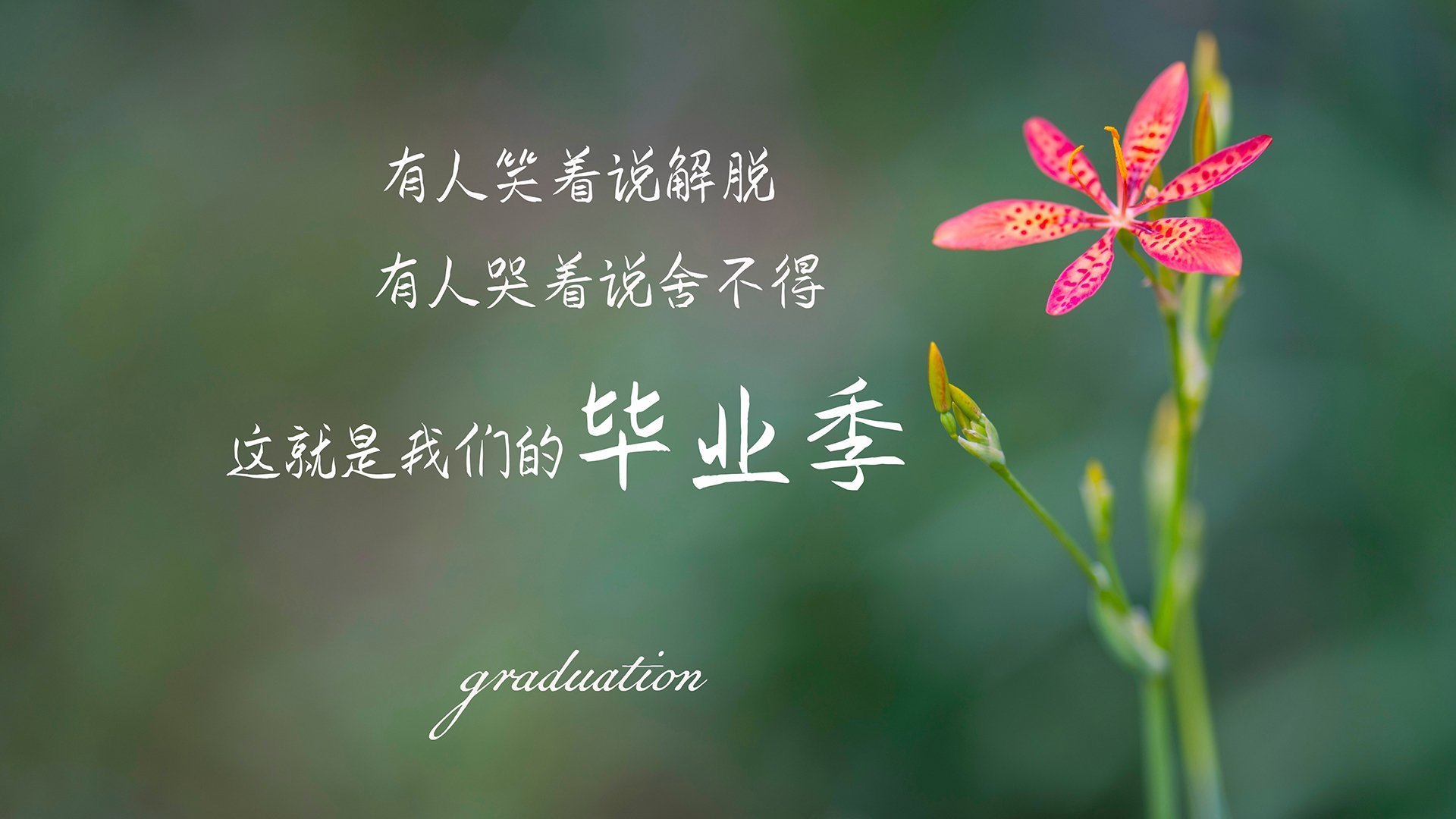 引擎轰鸣与末节风暴，当F1揭幕战遇上吉林队单节狂潮