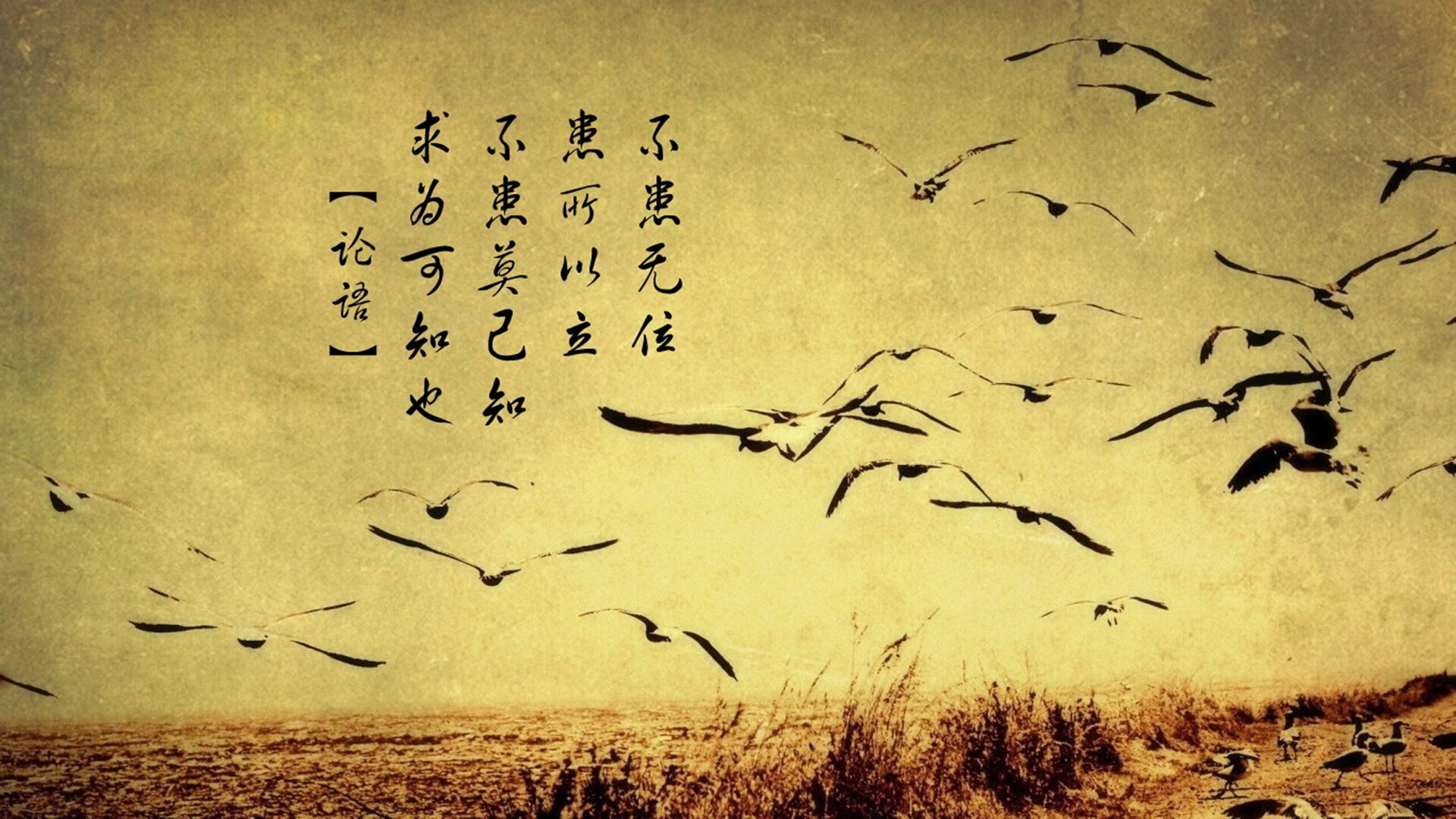 当战术钟摆撞上北欧风暴—哈兰德在排名生死战中重新定义掌控