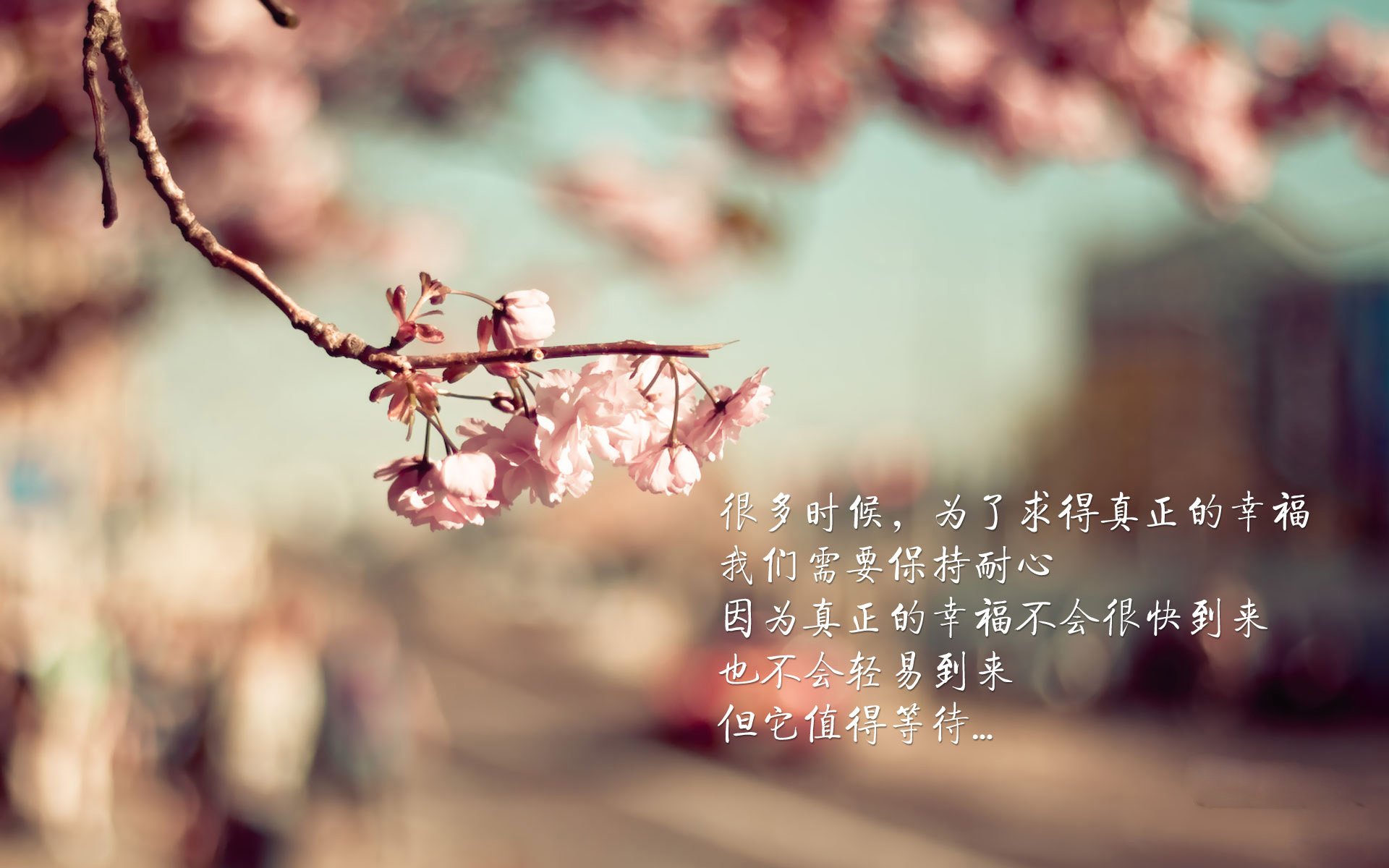 钢铁壁垒,当库尔图瓦与战术完美合谋—2026世界杯F组,德国战车为何碾不过比利时红魔